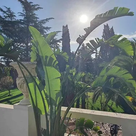 Apartament Le Dramont Saint-Raphaël